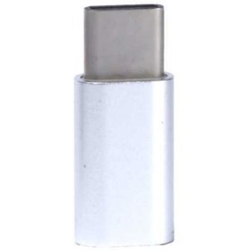 Resim UnDePlus Type-c Mikro Dönüştürücü Ucu Zore Metal 01 Gri 