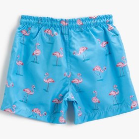 Resim Erkek Çocuk Mayo Flamingo Baskılı Beli Bağlamalı 