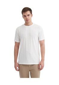 Resim Cazador Erkek Regular Fit Bisiklet Yaka Tişört 4203 Ekru 