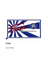 Resim Fiske Kumaş Boyası Sabitleyici 