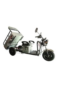 Resim JGR Motor Cargo Run 3 Tekerli Elektrikli Motosiklet 