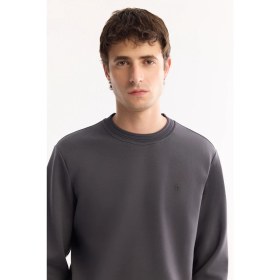 Resim AVVA Erkek Antrasit Bisiklet Yaka Pamuklu Bi-Stretch Regular Fit Sweatshirt A52Y1271 