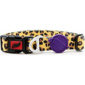 Resim Tailpetz Leopard Boyun Tasması (Small) Çok Renkli 