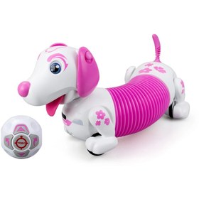 Resim NW NessiWorld Nessiworld Silverlit Robo Dash D 88740 
