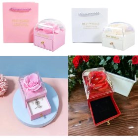 Resim MCM Group Sonsuzluk Gül Tasarımlı Takı Kutusu 