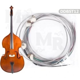 Resim Kontrbas Teli Takım 1/2 DDBST12 