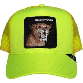 Resim Goorin Bros Şapka - Tootache 