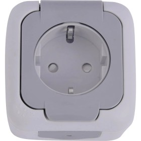 Resim Gri Şeffaf Kapaklı Topraklı Priz Çabuk Bağlantı 