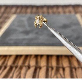Resim %100 Cerrahi Çelik Örümcek Zirkon 6 X 1.2 MM Altın Labret Piercing Altın 