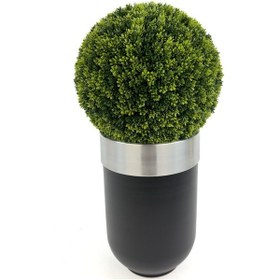 Resim Şimşir Ağacı 90cm Siyah Gümüş Darbuka Saksıda H 