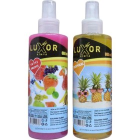 Resim Luxor Kimya Tutti Frutti ve Tropikal Oto Kokusu 2x200 ML 