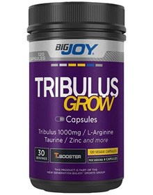 Resim Tribulus Grow T.booster Terrestris Arginine Taurine Zinc Amino Asit 120 Kapsül 
