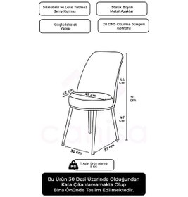 Resim Canisa Concept Dexa Serisi, Üst Kalite Mutfak Sandalyesi, Metal Siyah Iskeletli, 1 Adet Zebra Desen Sandalye Zebra Desen Sandalye 
