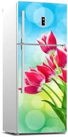 Resim Buzdolabı Kapağı Kaplama Sticker 0106 