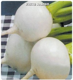 Resim Beyaz Turp Tohumu 500 Tohum 
