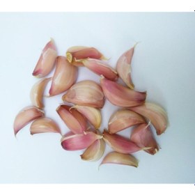 Resim Yörece Kastamonu Taşköprü Sarımsak Büyük Boy 1 KG 