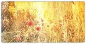 Resim Colorix Carpet Kaymaz Taban Tezgah Önü Mutfak Paspası 75x150 Cm No: 174 