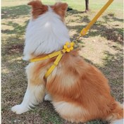 Resim Orta ve Büyük Köpekler İçin Dayanıklı Pet Tasma - 152.4cm Dayanıklı Deri Kuyruk, Çiçek Desenli, Pilsiz, Teddy ve Golden Retriever İçin İdeal - Eğlenceli Yürüyüş Aksesuarı, Pilsiz 