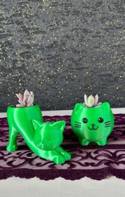 Resim Sevimli Kedi Figür Saksı Opalina Sukulent 2’li Set - Yeşil 
