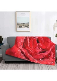 Resim Gul Tek Kişilik Polar 150 Cm 220 Cm. Tv Battaniyesi 