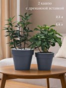 Resim Lıvıngrın Drenajlı Plastik Saksı Seti 2,3l Ve 1,4l 2 Ad 396501828 