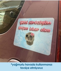 Resim moontainills Üzgün Hamster Araba Magneti 