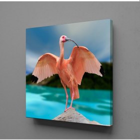 Resim Pembe Flamingo Kanvas Tablo 