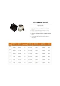 Resim Mirox 4-16 Trifaze Basınç Şalteri 1¼'' 