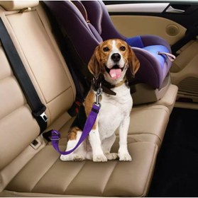 Resim Delixa TİNEKE Evcil Hayvan Araç Emniyet Kemeri Kedi Köpek Araba Oto Tasması Oto Aksesuarları (MOR) 