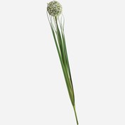 Resim Allium Yapay Çiçek Beyaz 