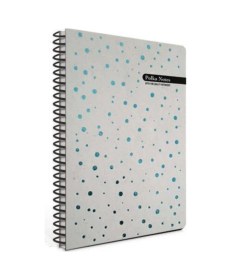 Resim Polka 17x24 Notes Spiralli Çizgili Sert Kapaklı 120 Yaprak Defter 