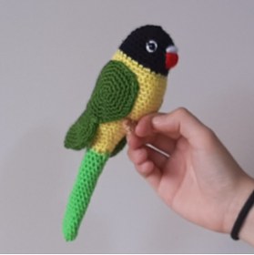 Resim nildamigurumi Amigurumi Kuş Oyuncak Muhabbet Kuşu Siyah Yeşil 