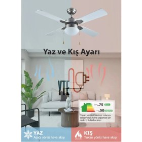 Resim Avizeli 4 Kanatlı 60 Watt 106 cm Işıklı Tavan Vantilatörü 