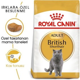 Resim Royal Canin British Shorthair Adult Kedi Kuru Maması 2 Kg 