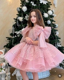 Resim Jerry Pembe Taş İşleme Kız Çocuk Abiye Elbise - 11 Yaş 