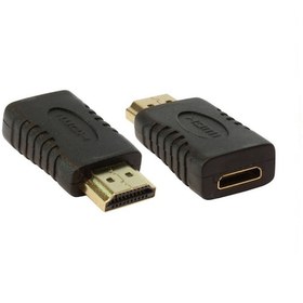 Resim Hdmı Erkek To Mini Hdmı Dişi Dönüştürücü N11.957 