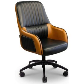 Resim Zıeno Holly Çalışma Koltuğu Diğer 