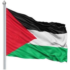 Resim Filistin Bayrağı 50X75Cm. 