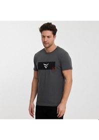 Resim Twobull DENVER Erkek Füme Tişört 