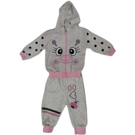 Resim Kız Bebek Alt Üst Takım Gri -pembe Fermuarlı Kapşonlu Gözlü 117 Gri - Pembe 