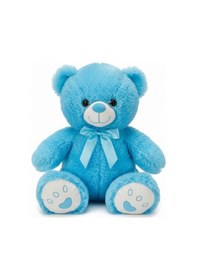 Resim Renkli Peluş Ayı 50 Cm Mavi Çok Renkli 