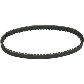 Resim Mondial 50 Tt-Hc Revival Triger Kayışı 669-18 Delta 