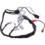 Resim Elektrik Tesisatı Kuba-Cg 100 [akü Beslemeli] 