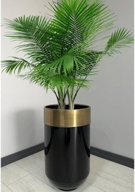 Resim Dekoratif Eskitme Darbuka Parlak Siyah Saksı 70cm 