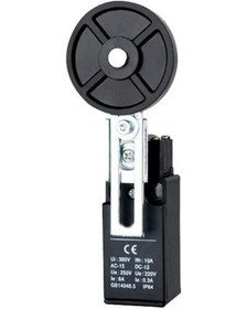 Resim Tls-191 Plastik Gövde Limit Switch 