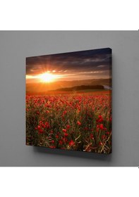 Resim Çiçek Tarlası Kanvas Tablo 200x200cm 