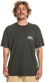 Resim Quiksilver Take Us Back Logo Tişört Erkek 