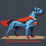 Resim Süper Köpek - Picasso Sokakta Oversize Tişört 