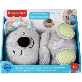 Resim GRT59 Fisher-Price® Uyku Arkadaşı Koala / +0 