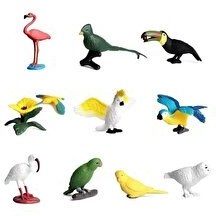 Resim 6'li Mini Kuş Hayvan Seti 